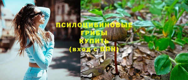 экстази Алексин